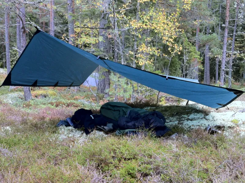 Klicka för att förstora