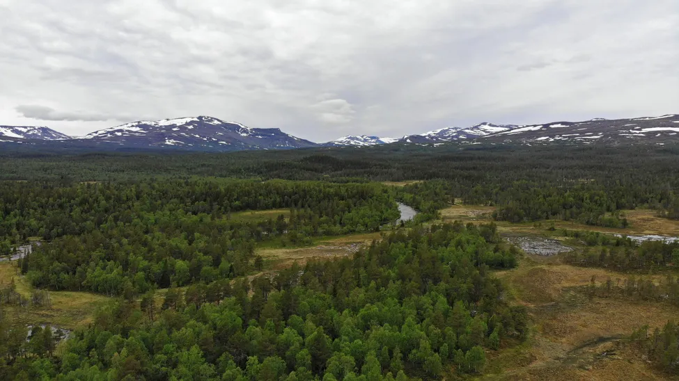 Klicka för att förstora