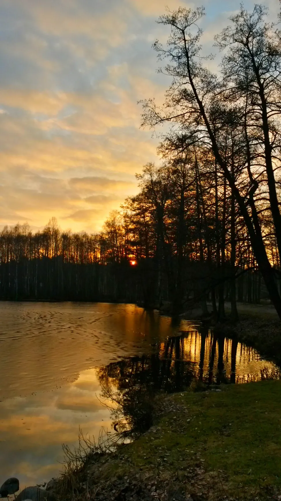 Klicka för att förstora