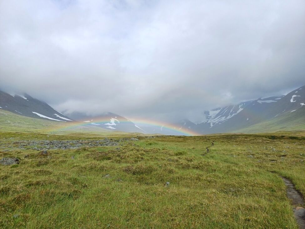 Klicka för att förstora