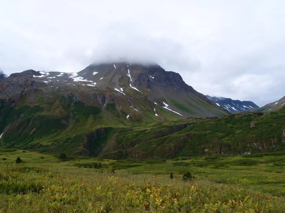 Klicka för att förstora