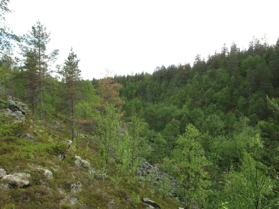 Klicka för att förstora