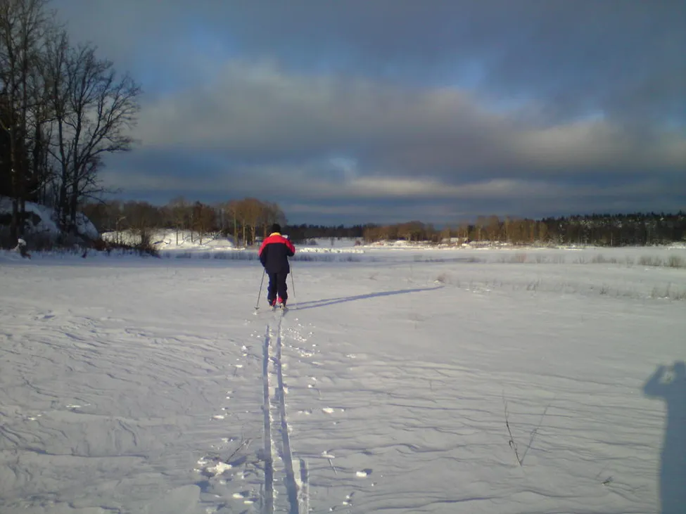 Klicka för att förstora