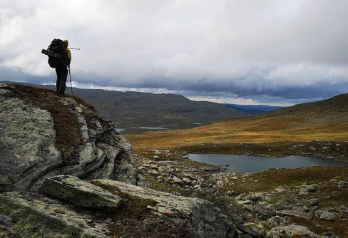 Nu kan vita och gröna bandet genomföras i etapper