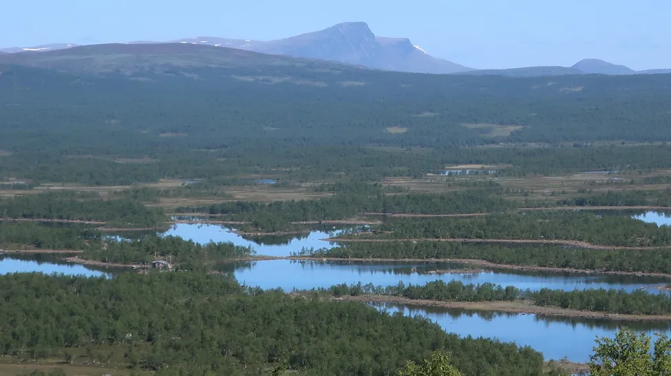 Klicka för att förstora