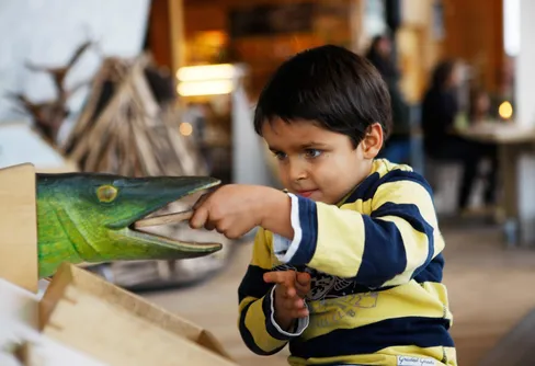 Sveriges 33 naturum är populära besöksmål