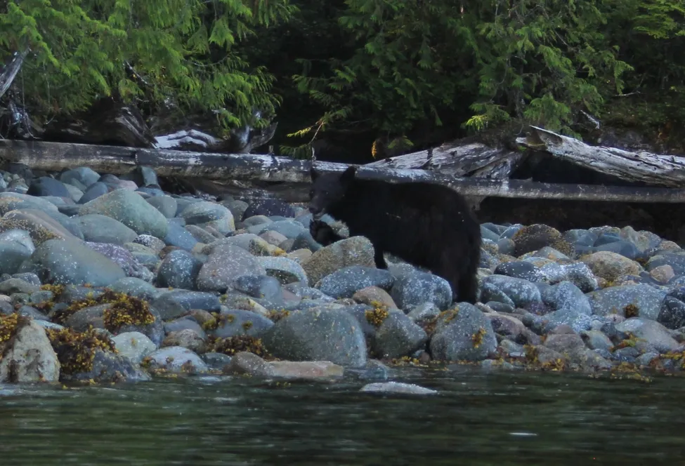 Klicka för att förstora