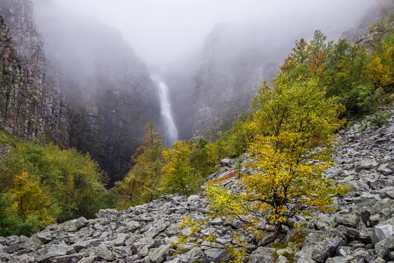 Klicka för att förstora