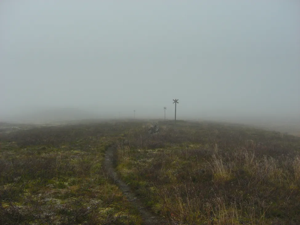 Klicka för att förstora