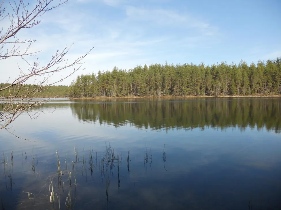 Klicka för att förstora