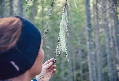 Ny studie: negativa känslor inför naturen ökar