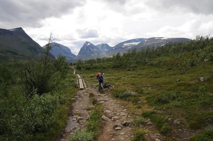 Klicka för att förstora