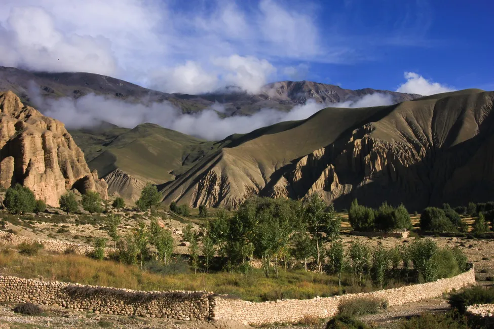 Klicka för att förstora