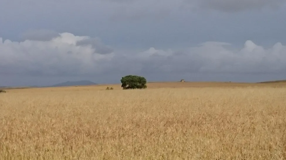 Klicka för att förstora