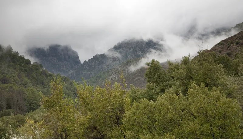Klicka för att förstora