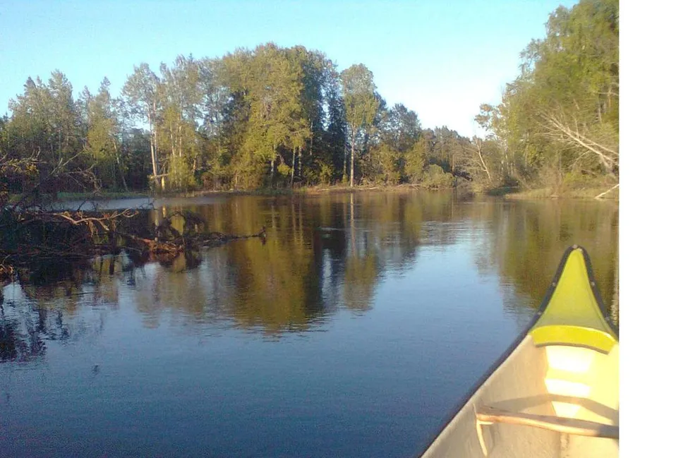 Klicka för att förstora