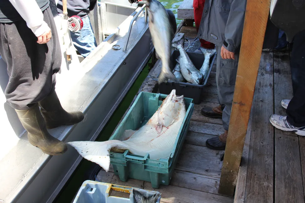 Klicka för att förstora