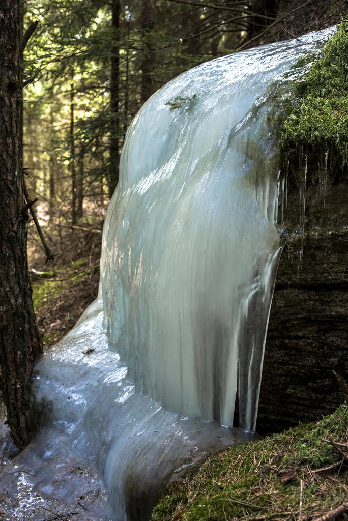 Klicka för att förstora