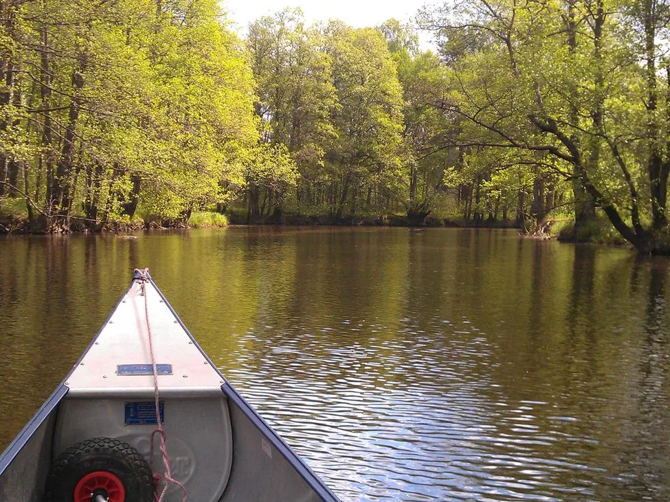 Klicka för att förstora