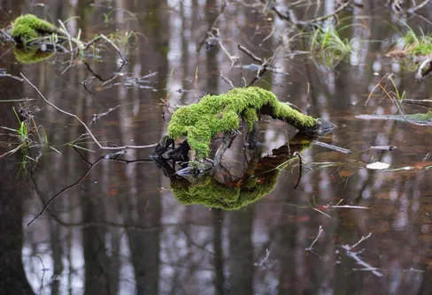 Vandring och foto vid Söderåsen och Gällabjär