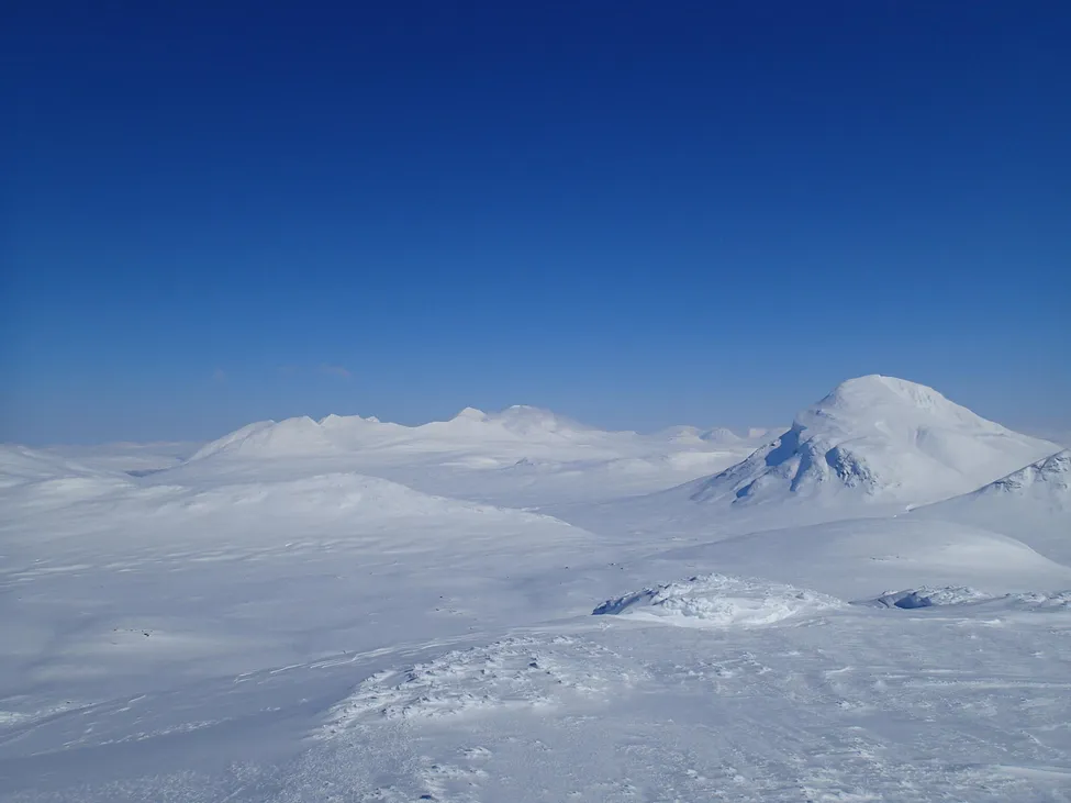 Klicka för att förstora