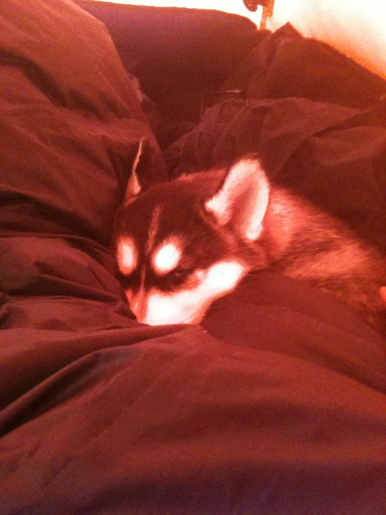 Klicka för att förstora