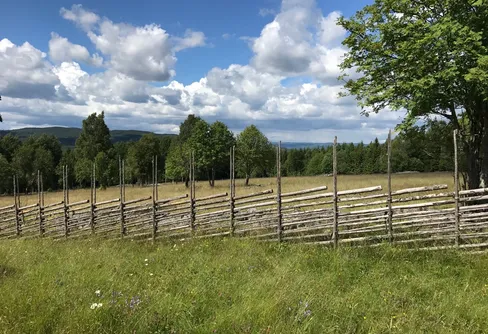 Naturvårdsverket vill inte inskränka allemansrätten