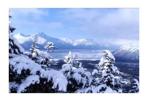 Utsikt från liftstationen i Girdwood