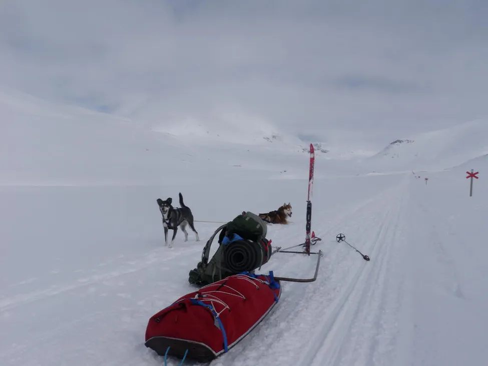 Klicka för att förstora