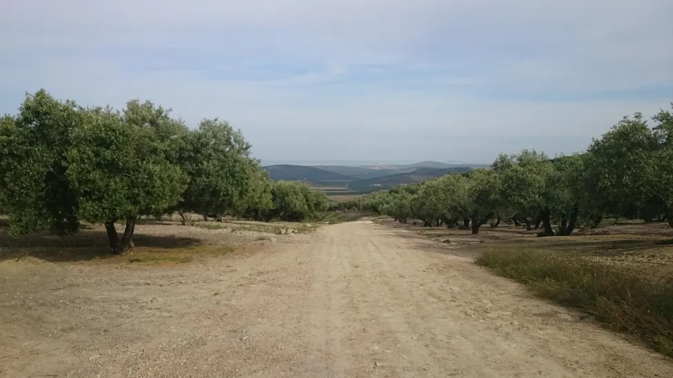 Klicka för att förstora