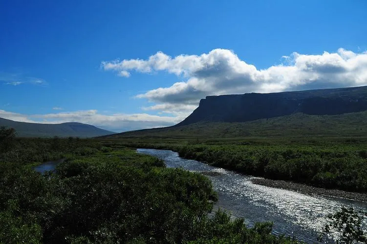 Klicka för att förstora