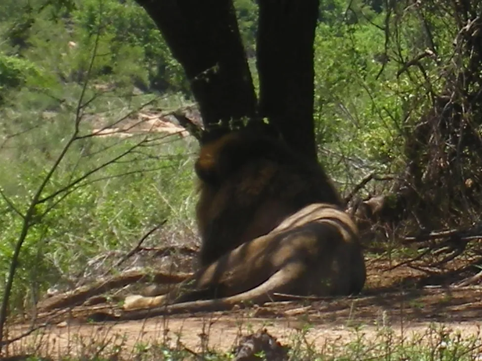 Klicka för att förstora