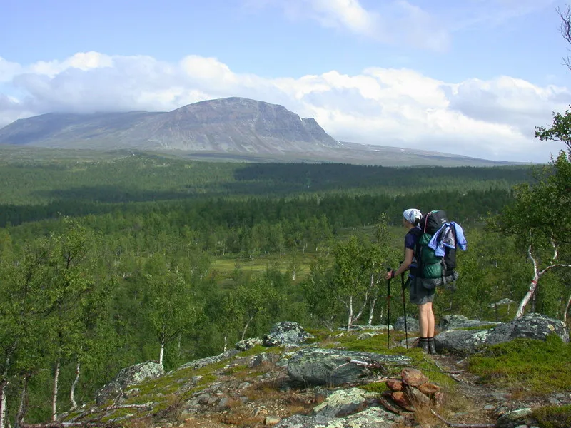 Klicka för att förstora