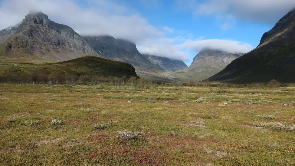 Klicka för att förstora