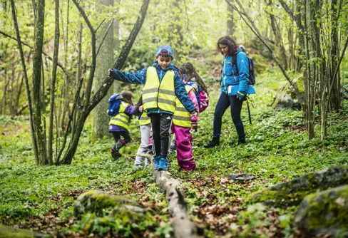 285 kottar ska inspirera till undervisning i naturen