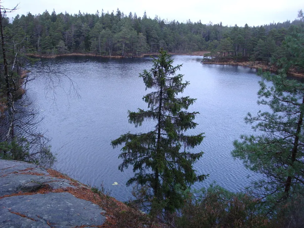 Klicka för att förstora