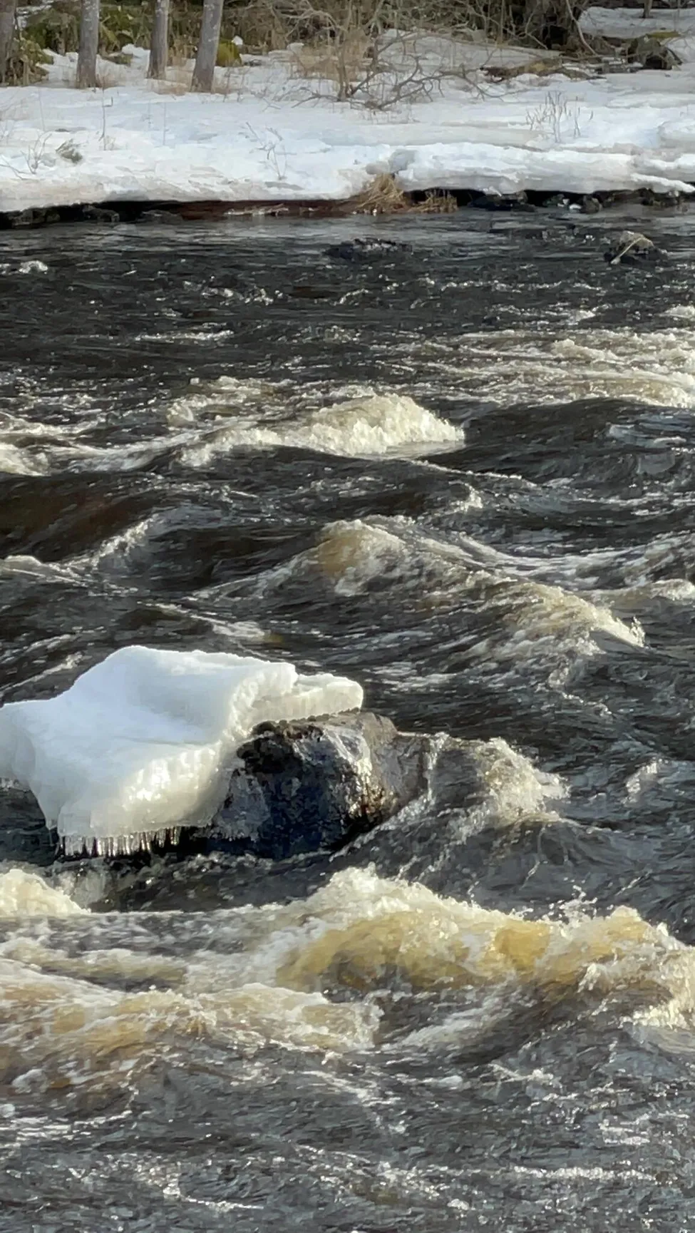 Klicka för att förstora