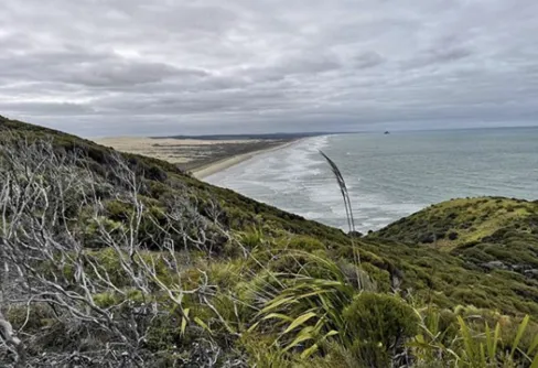 Vandrar Te Araroa genom Nya Zeeland