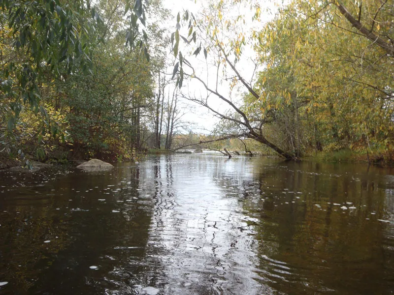 Klicka för att förstora