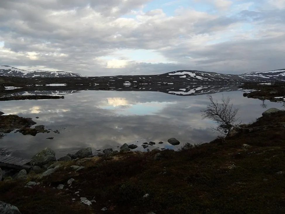 Klicka för att förstora
