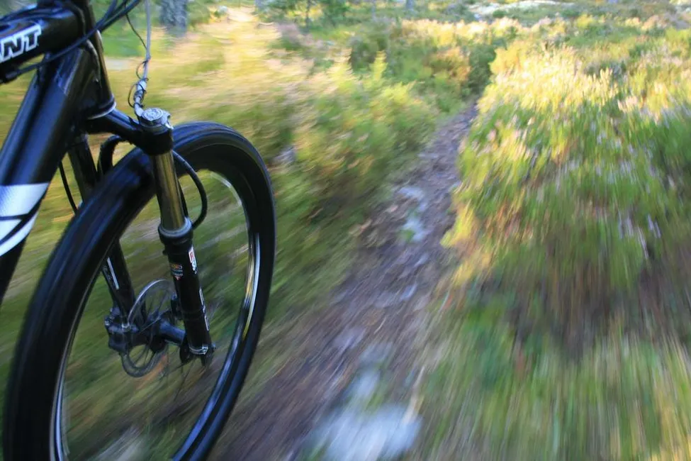 Klicka för att förstora