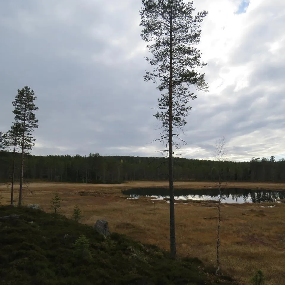 Klicka för att förstora