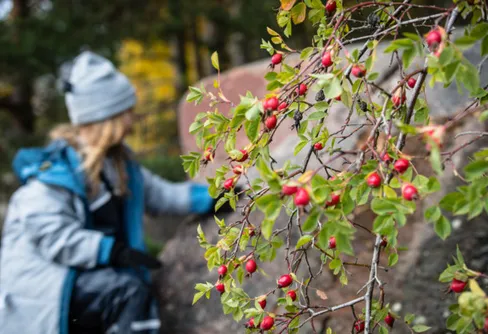 Samarbete för alla barns rätt till naturen