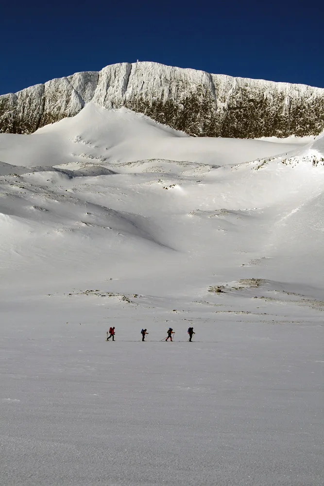 Klicka för att förstora