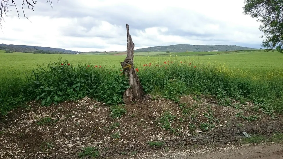 Klicka för att förstora