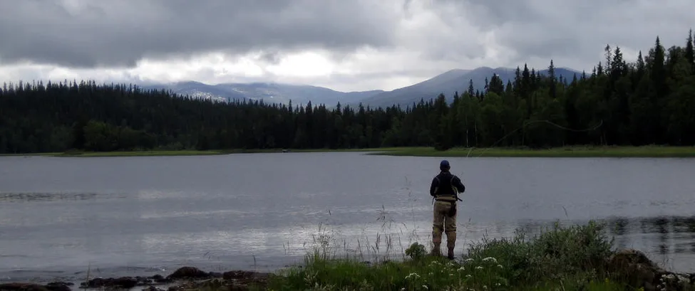 Klicka för att förstora