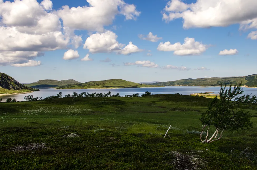 Klicka för att förstora