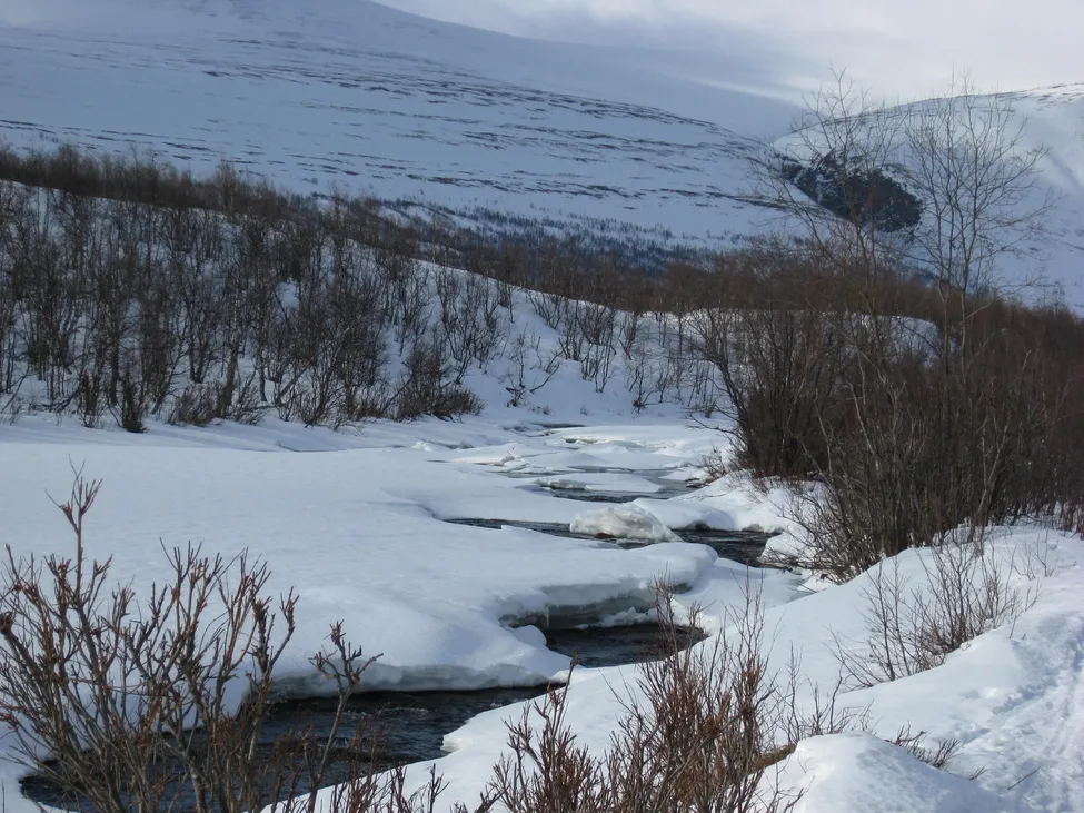 Klicka för att förstora