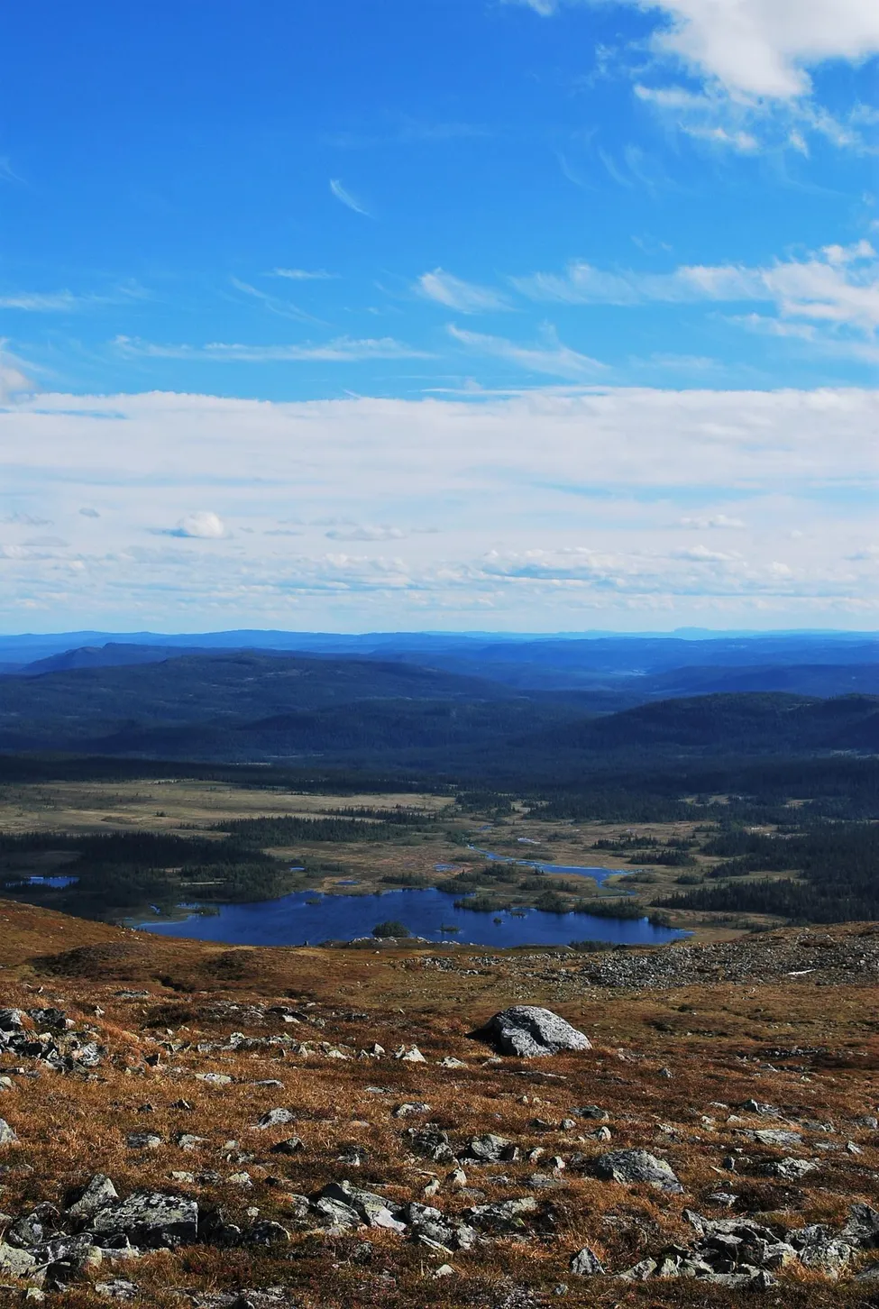 Klicka för att förstora