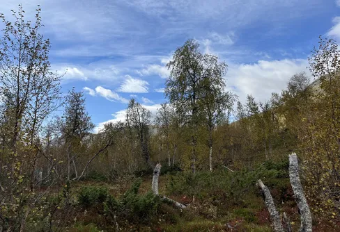 5 september - en blåsdag